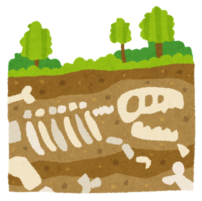 埋蔵文化財の試掘について